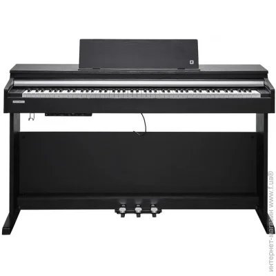   Kurzweil CUP M1 SR