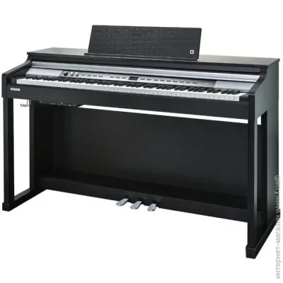   Kurzweil CUP P1 SR