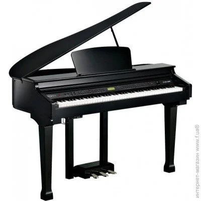   Kurzweil KAG-100 EP