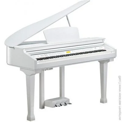   Kurzweil KAG-100 WHP
