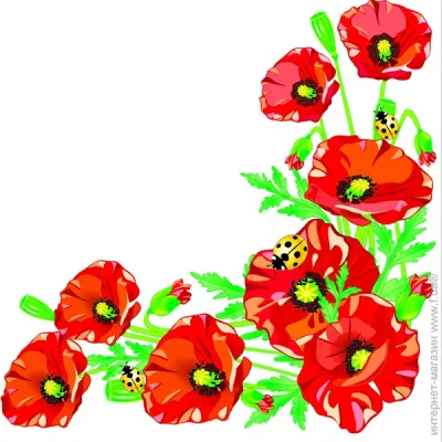 La Fleur     3333   16 .