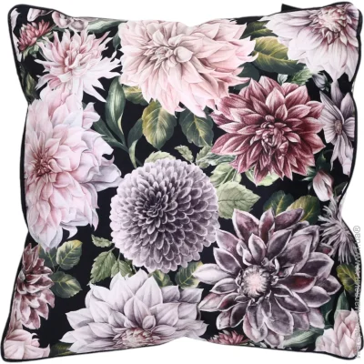  La Nuit    Exclusive Chrysanthemum 45x45  