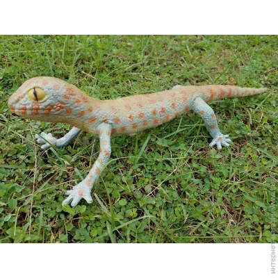 Գ Lanka Novelties   40 cm () (21611)