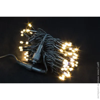 Laplandia ó       10    100 LED    (ww.01.7B.100.F+ )