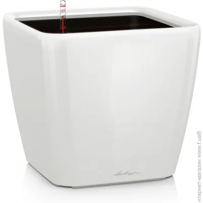     Lechuza Quadro LS 21   (16120)