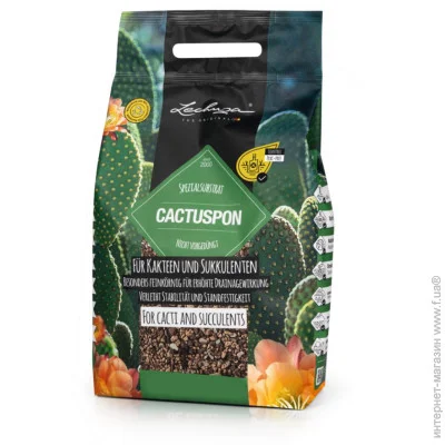 Lechuza  CACTUSPON 3 