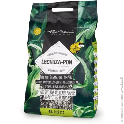 Lechuza   Pon 6 