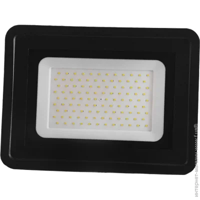Ledua   100W SMD 6000 (1532)
