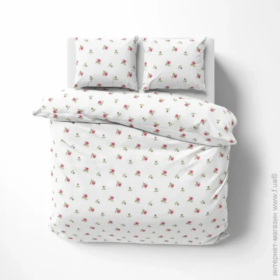    Lelit      180215   P-0163/2 (le2000000285566)