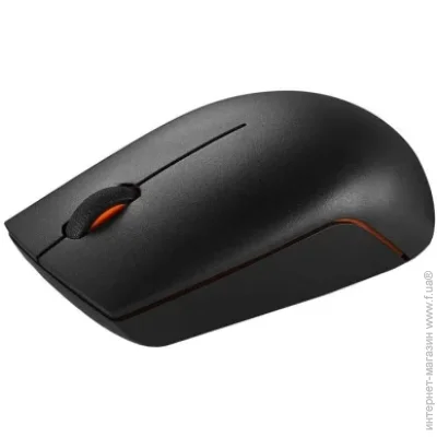 Lenovo 300 Black (GX30K79401)