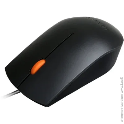  Lenovo 300 USB (GX30M39704)