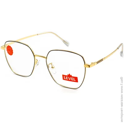        Level 5028-C6 (50019)