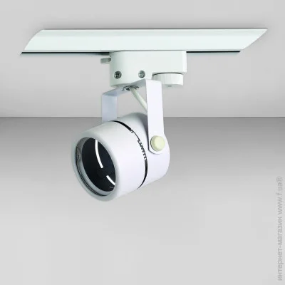     Levistella 776-RW 