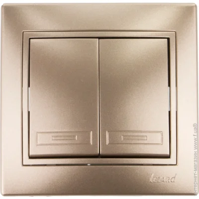 Lezard   Mira   -