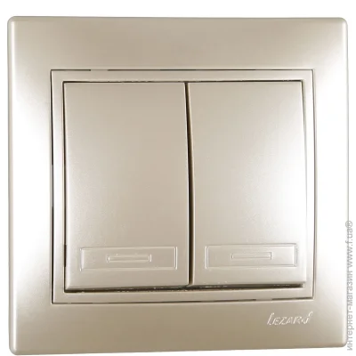Lezard    Mira   -