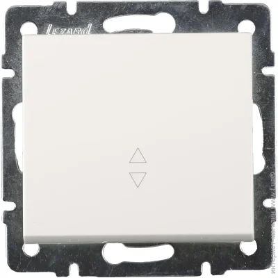 Lezard    Rain    703-0288-105
