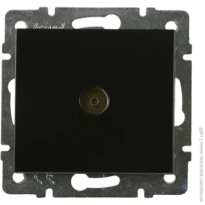  TV  Lezard Rain  703-4288-129