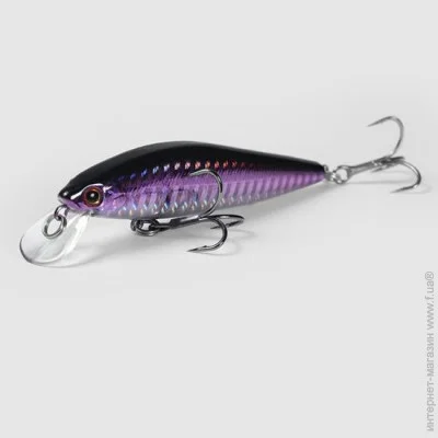 Lifeflux   Catch&Release 10  90  - (3610-2019)