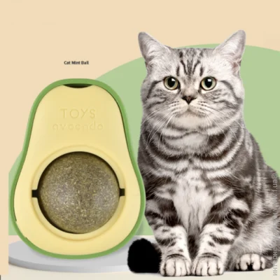 Lifeflux  '     CatNip (2064-2019)