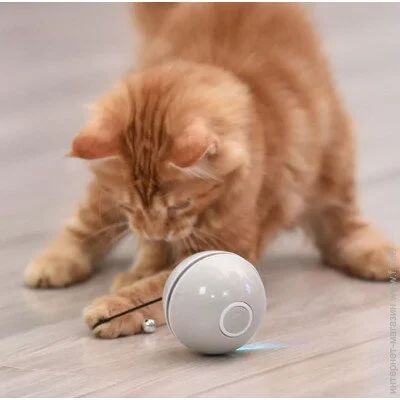 Lifeflux     Smart Rolling Ball    CatNip LED  (1385-2019)