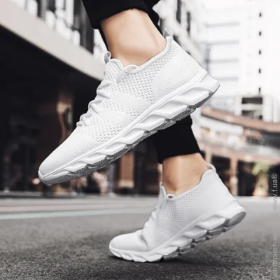   Lifeflux Navette .40  (3812-2019)
