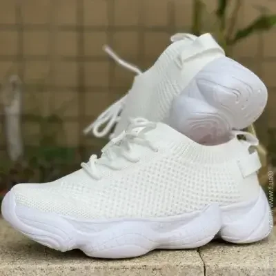   Lifeflux Shell .41  (3000-2019)