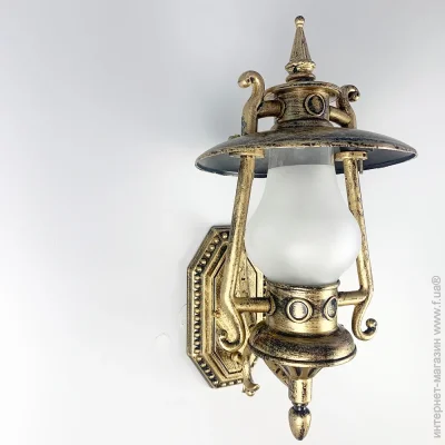     Light House LNF-17495/1W 