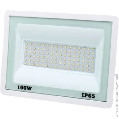  Lightwell LW-FL-W-100 100 W