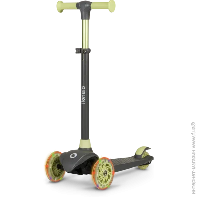  Lionelo Jessy Gray Green (69842081)  50  