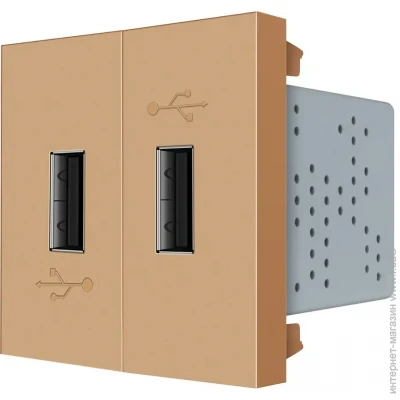 USB-    USB    Livolo  (VL-FCUA-2AP)