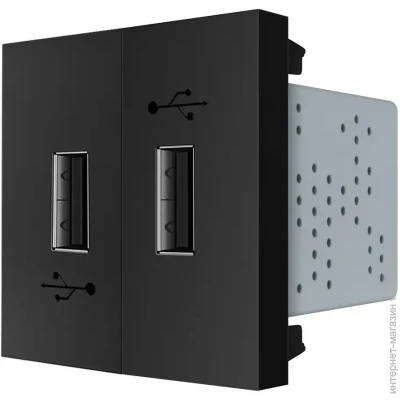USB-    USB    Livolo  (VL-FCUA-2BP)