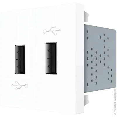 USB-    USB    Livolo  (VL-FCUA-2WP)