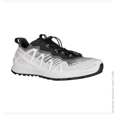  Lowa Merger Gtx Lo (310431-0199-44)