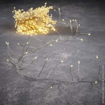 Luca Lighting    , 11 ,   (8718861852660)