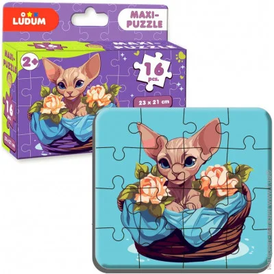   Ludum  2:  Maxi (ME5032-03)