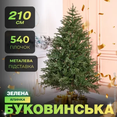     2,1   LUGI TD-BUKGR21