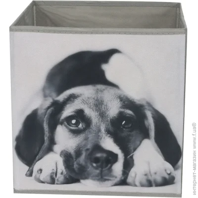 Luna Home   CN240410-1  Dog 280x270x270 
