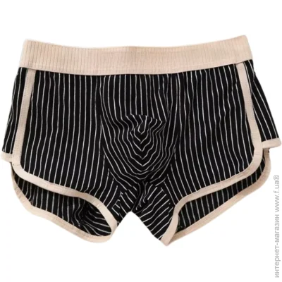       Modern Lines (1831-50-04)  3XL