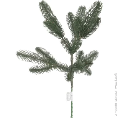 Mag 2000     2-1 40 