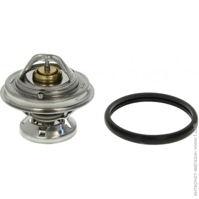  Mahle TX 29 85D (TX2985D)