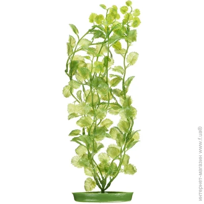 Marina CARDAMINE 30   (080605112056)