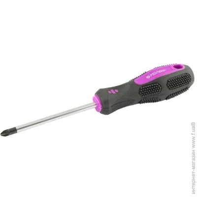 Mastertool   PZ2*100 GM (48-5910)