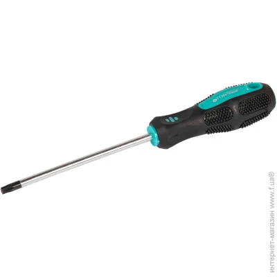 Mastertool  TORX TT30*125 GM (49-0301)