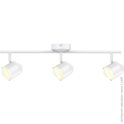  Maxus  Spot Light MSL-01C 3x4  