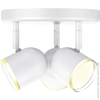  Maxus  Spot Light MSL-01R 3x4  