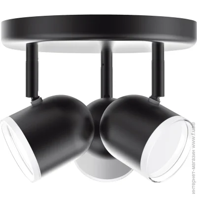  Maxus  Spot Light MSL-01R 3x4  