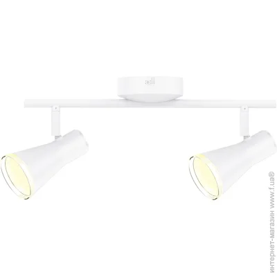  Maxus  Spot Light MSL-02C 2x4  