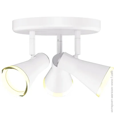  Maxus  Spot Light MSL-02R 3x4  