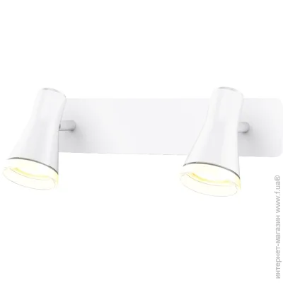  Maxus  Spot Light MSL-02W 2x4  