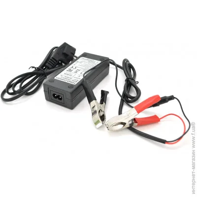   Merlion   LiFePO4 12V(14,6V)-3A-36W